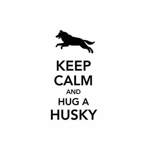 Keep Calm And Hug A Husky  Vinyl Decal Sticker

Size option will determine the size from the longest side
Industry standard high performance calendared vinyl film
Cut from Oracle 651 2.5 mil
Outdoor durability is 7 years
Glossy surface finish