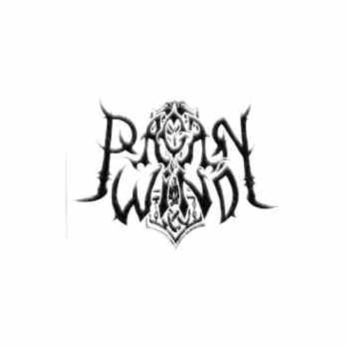 Our Pagan Wind (BRA) Band Logo Decal is offered in many color and size options. <strong>PREMIUM QUALITY</strong> <ul>  	<li>High Performance Vinyl</li>  	<li>3 mil</li>  	<li>5 - 7 Outdoor Lifespan</li>  	<li>High Glossy</li>  	<li>Made in the USA</li> </ul> &nbsp;