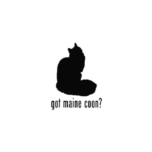 Got Maine Coon Cat Vinyl Sticker