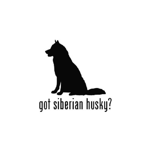 Got Siberian Husky Dog 1 Vinyl Sticker