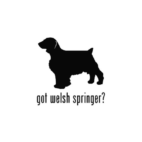 Got Welsh Springer Dog Vinyl Sticker