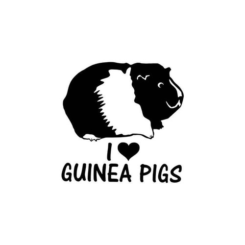 I Love Guinea Pigs Wildlfie Vinyl Sticker