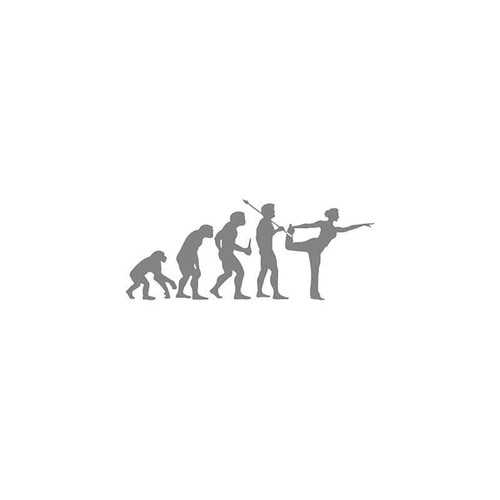 Evolution s Yoga Evolution Vinyl Sticker