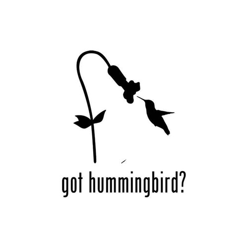 Got s Got Hummingbird Vinyl Sticker