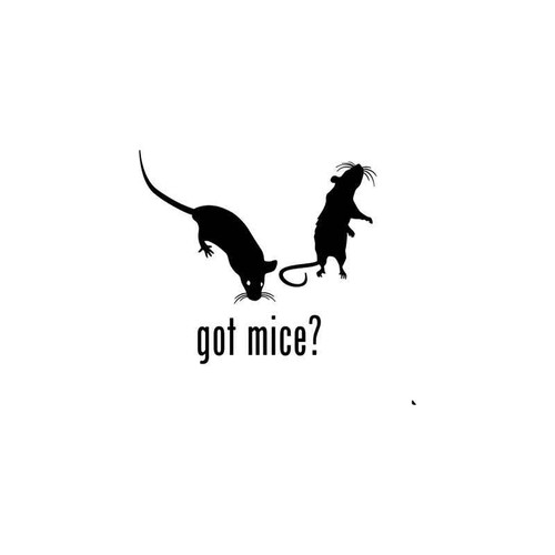 Got s Got Mice Vinyl Sticker