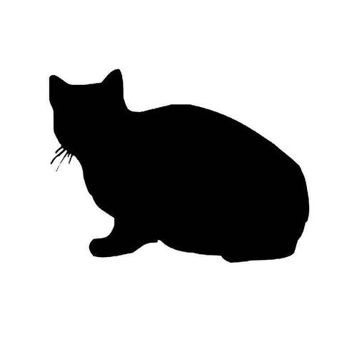 British Shorthair Cat Vinyl Sticker