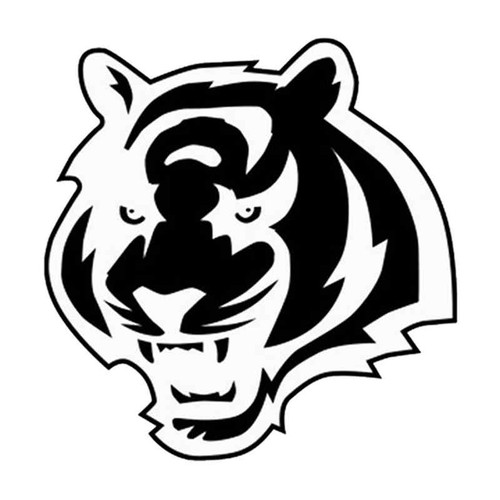 Cincinnati Bengals 622 Vinyl Sticker