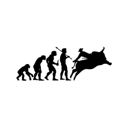 Evolution Of Bull Riding Sports Vinyl Sticker