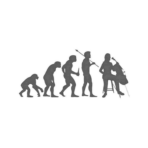 Evolution Of Viola Music Vinyl Sticker