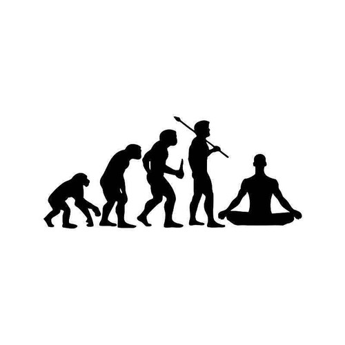 Evolution Of Zen Mediation Vinyl Sticker