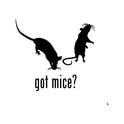 Got Mice Pet Vinyl Sticker