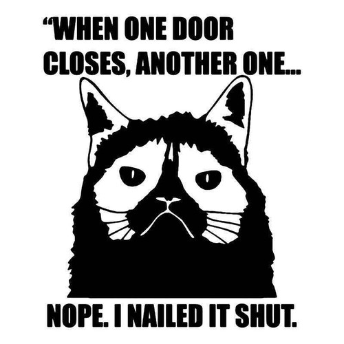 Grumpy Cat Quote Meme 3 Vinyl Sticker