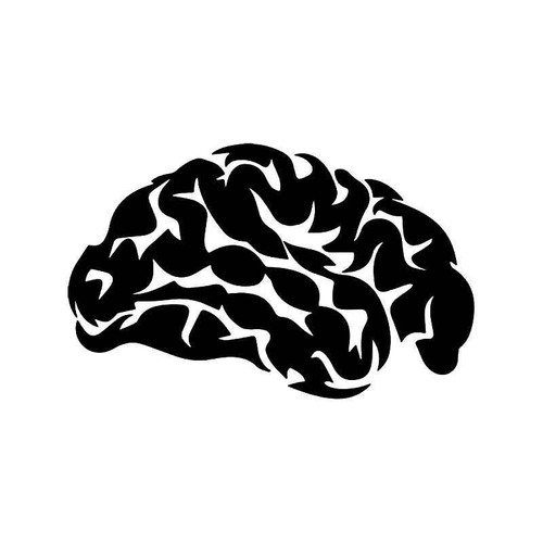 Human Brain Vinyl Sticker