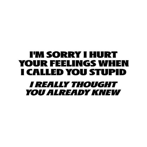 Hurt Feelings Stupid Quote Vinyl Sticker