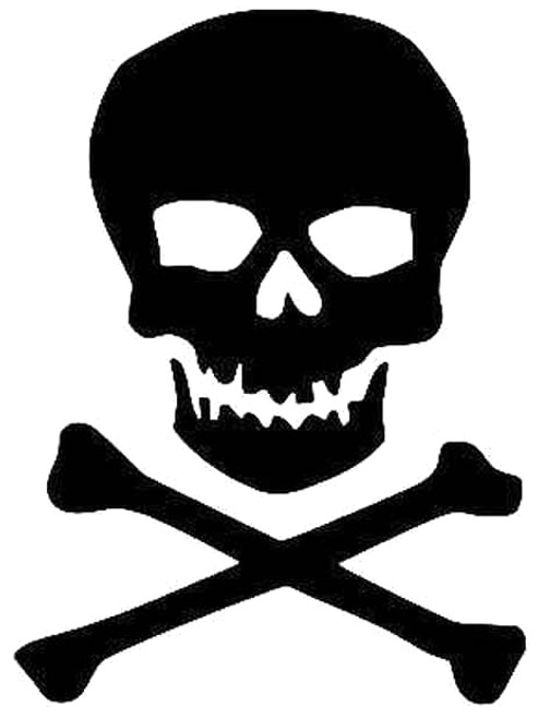 Jolly Roger Skull Crossbones Pirate 2