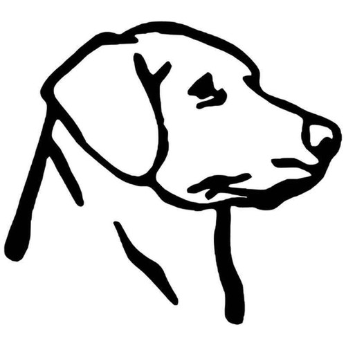 Labrador Retriever 1934 Vinyl Sticker