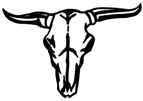 Longhorn Bull Skull 2