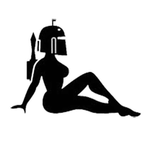 Star Wars Female 1034 Vinyl Sticker