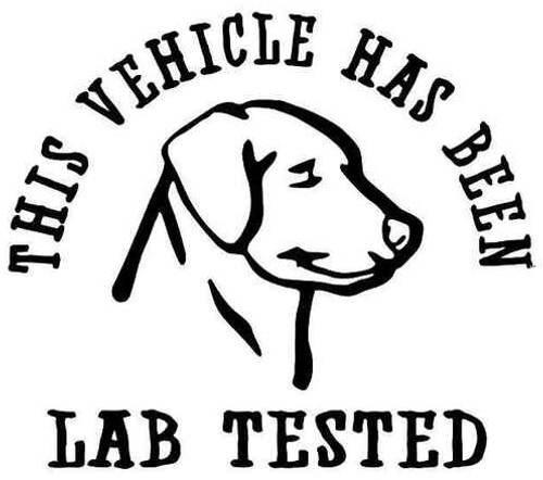 Vehicle Lab Tested Labrador Dog