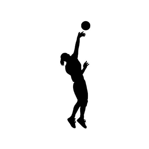 Volleyball 1 Vinyl Sticker