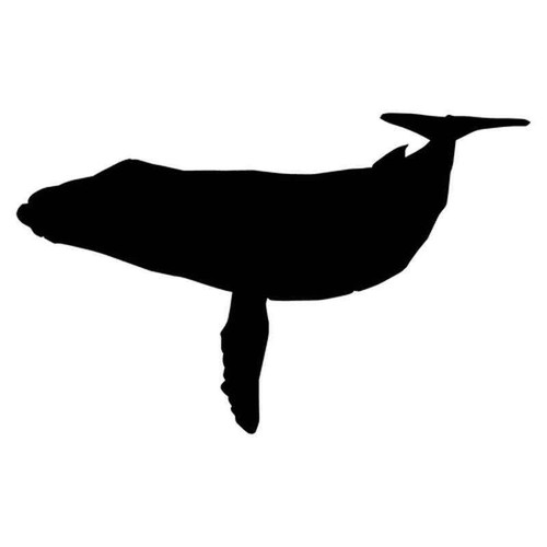 Whale 1028 Vinyl Sticker