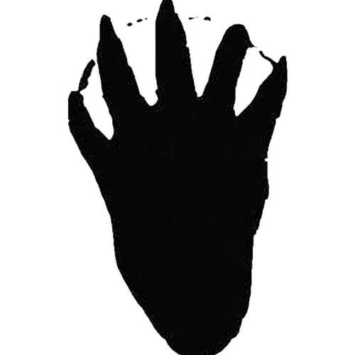 Beaver Paw Print Tracks S Decal