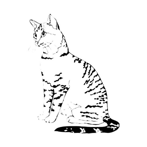 Egyptian Mau Cat S Decal