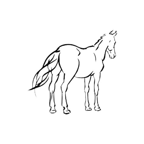 Horse R S Decal