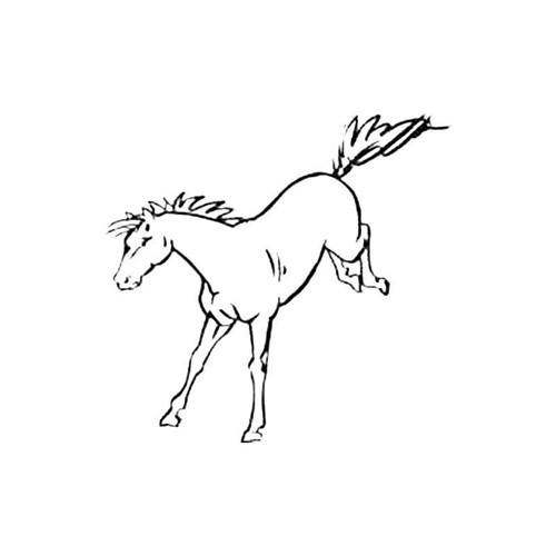 Horse T S Decal