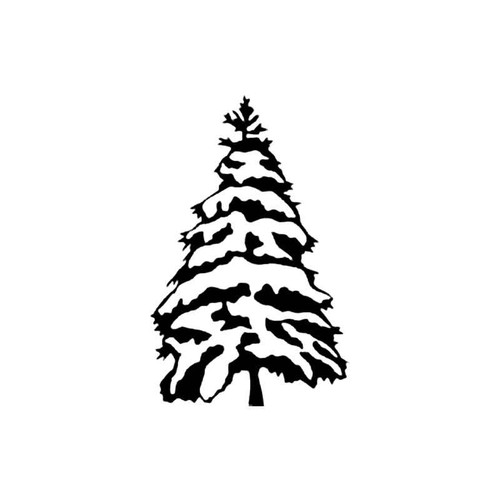 Spruce S Decal
