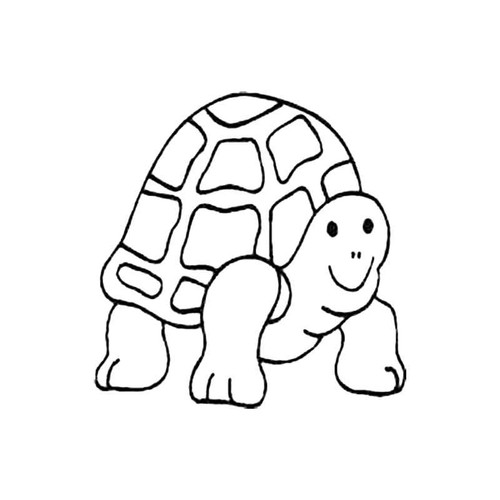 Tortoise S Decal