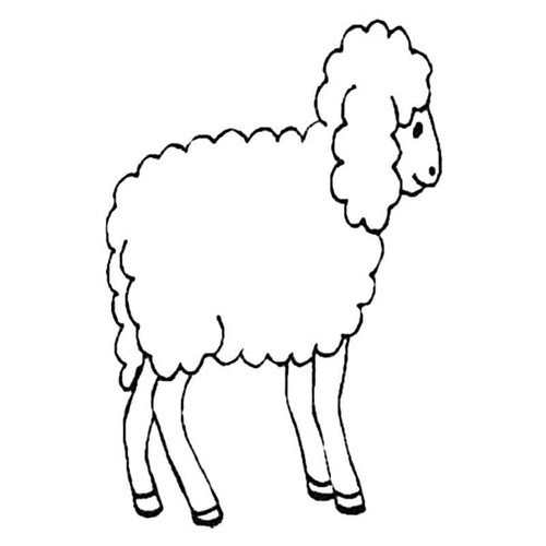 Woolly Sheep S Decal