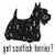 Got Scottish Terrier? Dog   Decal  v.1 High glossy, premium 3 mill vinyl, with a life span of 5 - 7 years!