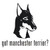 Got Manchester Terrier? Dog   Decal  v.2 High glossy, premium 3 mill vinyl, with a life span of 5 - 7 years!