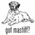 Got Mastiff? Dog   Decal  v.1 High glossy, premium 3 mill vinyl, with a life span of 5 - 7 years!