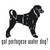 Got Portugese Water Dog?   Decal High glossy, premium 3 mill vinyl, with a life span of 5 - 7 years!