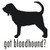 Got Bloodhound? Dog  Silhouette  Decal High glossy, premium 3 mill vinyl, with a life span of 5 - 7 years!