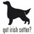 Got Irish Setter? Retriever Dog  Silhouette  Decal High glossy, premium 3 mill vinyl, with a life span of 5 - 7 years!