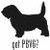 Got PBVG? Petit Basset Vendeen Griffon Dog    Decal High glossy, premium 3 mill vinyl, with a life span of 5 - 7 years!