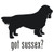 Got Sussex Spaniel? Dog   Decal High glossy, premium 3 mill vinyl, with a life span of 5 - 7 years!