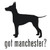Got Manchester? Terrier Dog    Decal High glossy, premium 3 mill vinyl, with a life span of 5 - 7 years!