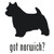 Got Norwich? Terrier Dog    Decal High glossy, premium 3 mill vinyl, with a life span of 5 - 7 years!