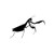 Praying Mantis ver2   Vinyl Decal High glossy, premium 3 mill vinyl, with a life span of 5 - 7 years!