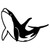 Killer Whale 1 Vinyl Decal High glossy, premium 3 mill vinyl, with a life span of 5 - 7 years!