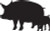 Pigs Vinyl Decal High glossy, premium 3 mill vinyl, with a life span of 5 - 7 years!