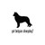 Got Belgian Sheepdog Dog Vinyl Sticker