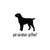 Got Wirehaired Griffon Dog Vinyl Sticker