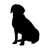 Dog 1765 Vinyl Sticker