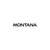 Pontiac Montana Style 2 Decal