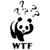 Wtf Panda Vinyl Sticker